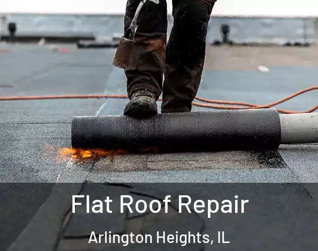  Flat Roof Repair Arlington Heights, IL