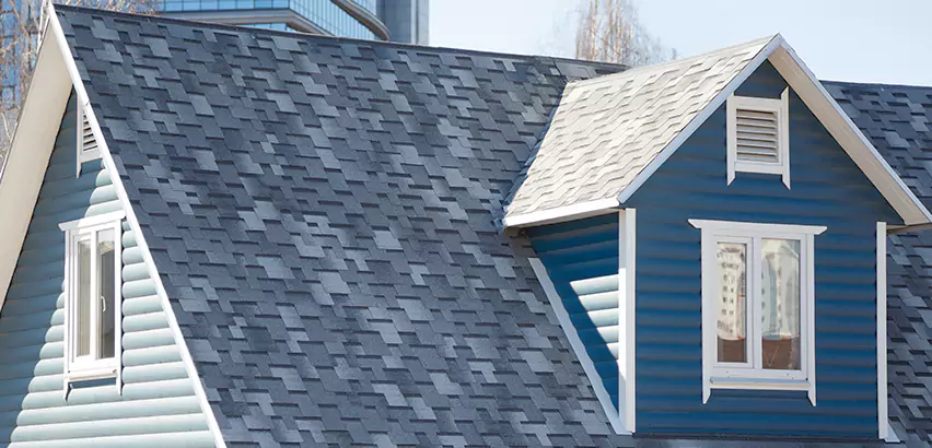 Shingle Roof Maintenance in Arlington Heights
