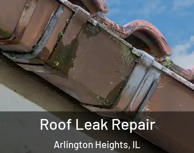  Roof Leak Repair Arlington Heights, IL
